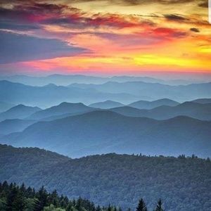 Meet your Posher, Stan